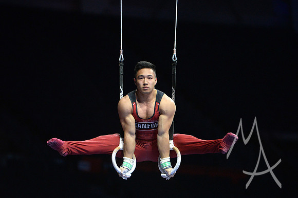 NCAA GYMNASTICS: APR 19 Men's Championship