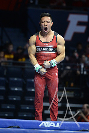 NCAA GYMNASTICS: APR 19 Men's Championship