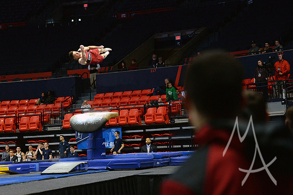 NCAA GYMNASTICS: APR 19 Men's Championship