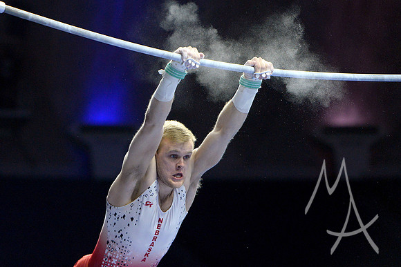 NCAA GYMNASTICS: APR 19 Men's Championship