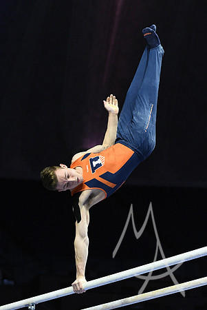 NCAA GYMNASTICS: APR 19 Men's Championship