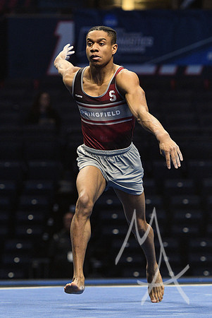 NCAA GYMNASTICS: APR 19 Men's Championship