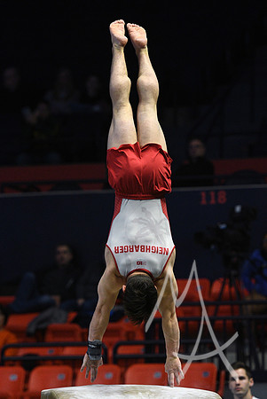 NCAA GYMNASTICS: APR 19 Men's Championship