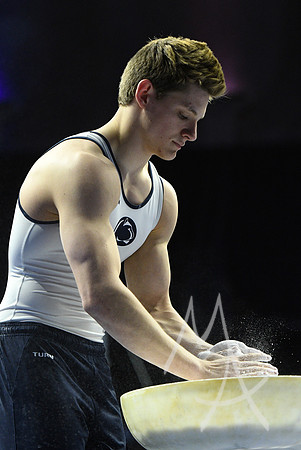 NCAA GYMNASTICS: APR 19 Men's Championship