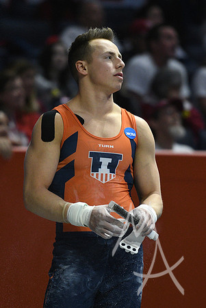 NCAA GYMNASTICS: APR 19 Men's Championship