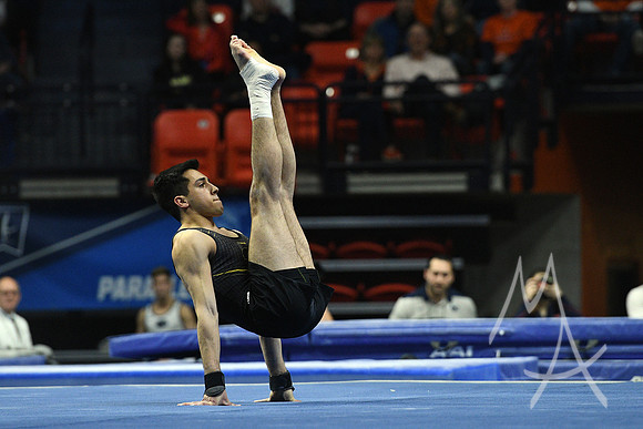 NCAA GYMNASTICS: APR 19 Men's Championship