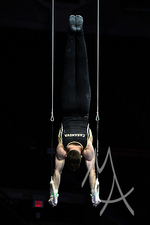 NCAA GYMNASTICS: APR 19 Men's Championship