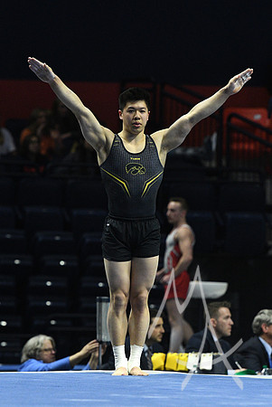 NCAA GYMNASTICS: APR 19 Men's Championship