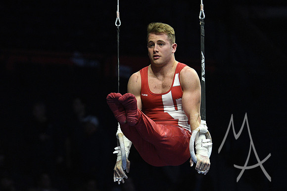 NCAA GYMNASTICS: APR 19 Men's Championship