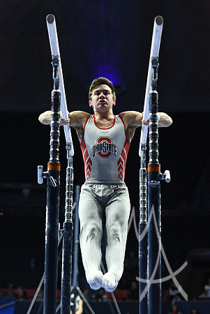NCAA GYMNASTICS: APR 19 Men's Championship