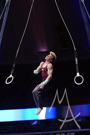 NCAA GYMNASTICS: APR 19 Men's Championship