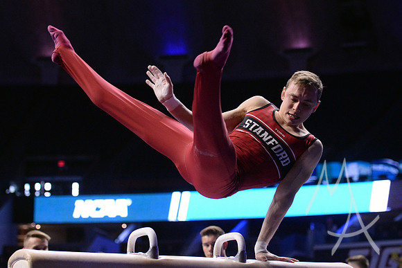 NCAA GYMNASTICS: APR 19 Men's Championship