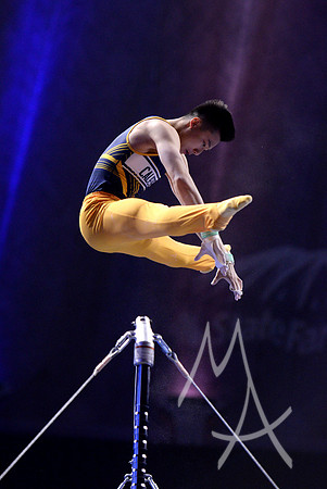 NCAA GYMNASTICS: APR 19 Men's Championship