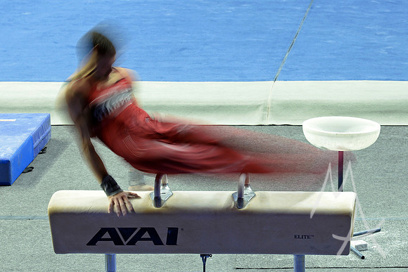 NCAA GYMNASTICS: APR 19 Men's Championship