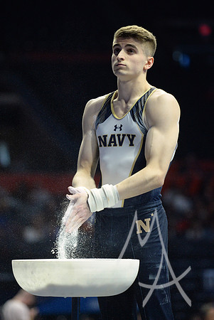 NCAA GYMNASTICS: APR 19 Men's Championship
