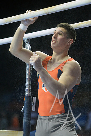 NCAA GYMNASTICS: APR 19 Men's Championship
