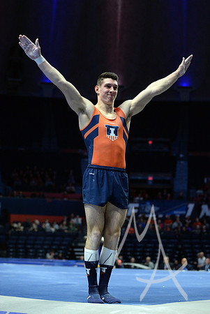 NCAA GYMNASTICS: APR 19 Men's Championship