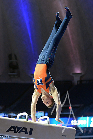 NCAA GYMNASTICS: APR 19 Men's Championship