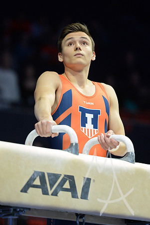 NCAA GYMNASTICS: APR 19 Men's Championship