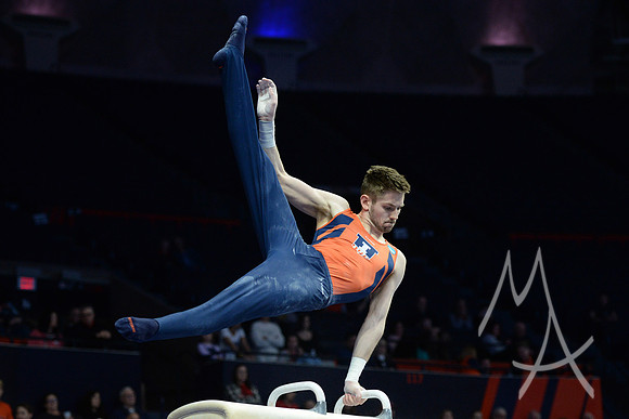 NCAA GYMNASTICS: APR 19 Men's Championship