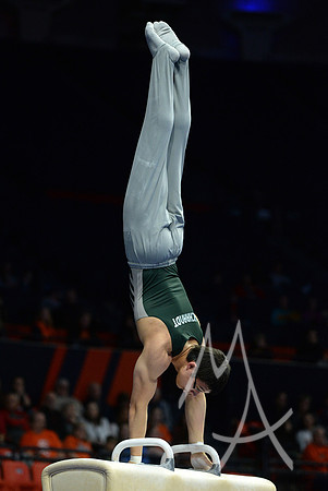 NCAA GYMNASTICS: APR 19 Men's Championship