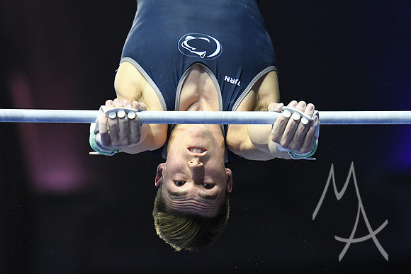 NCAA GYMNASTICS: APR 20 Men's Championship