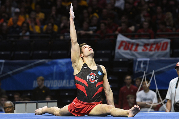 NCAA GYMNASTICS: APR 20 Men's Championship