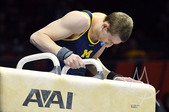 NCAA GYMNASTICS: APR 20 Men's Championship