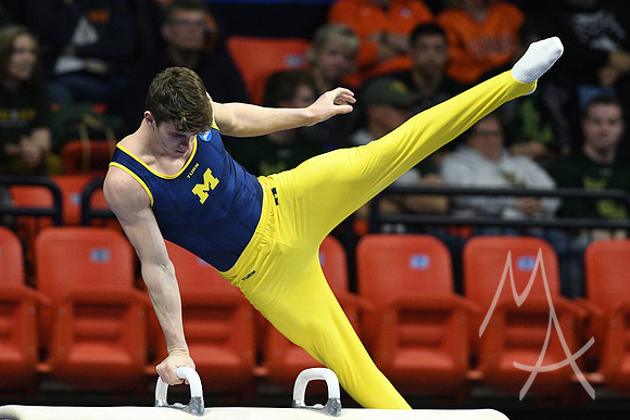 NCAA GYMNASTICS: APR 20 Men's Championship