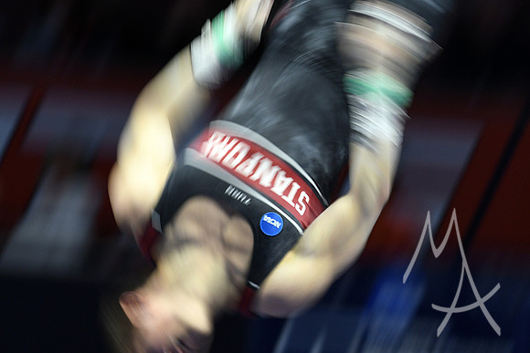 NCAA GYMNASTICS: APR 20 Men's Championship