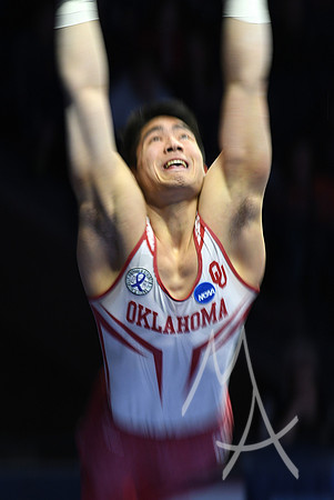 NCAA GYMNASTICS: APR 20 Men's Championship