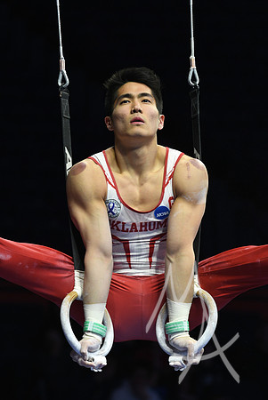 NCAA GYMNASTICS: APR 20 Men's Championship