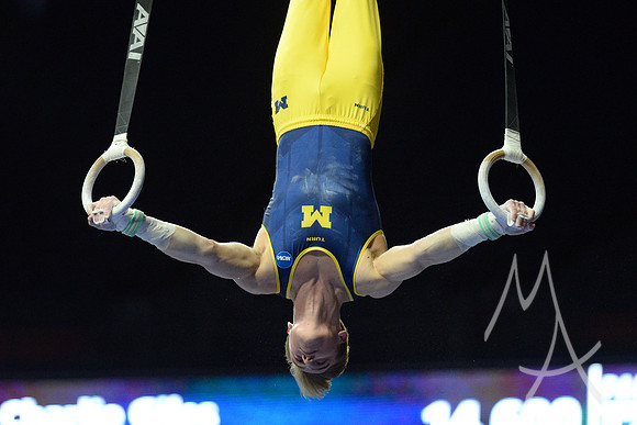 NCAA GYMNASTICS: APR 20 Men's Championship