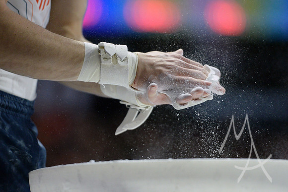 NCAA GYMNASTICS: APR 20 Men's Championship