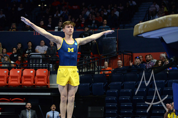 NCAA GYMNASTICS: APR 20 Men's Championship