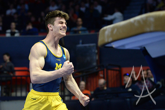 NCAA GYMNASTICS: APR 20 Men's Championship