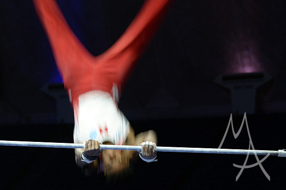NCAA GYMNASTICS: APR 20 Men's Championship