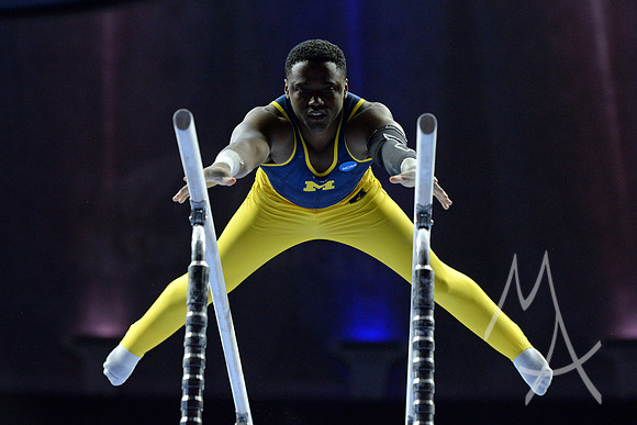 NCAA GYMNASTICS: APR 20 Men's Championship