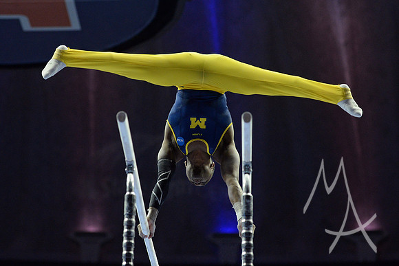 NCAA GYMNASTICS: APR 20 Men's Championship