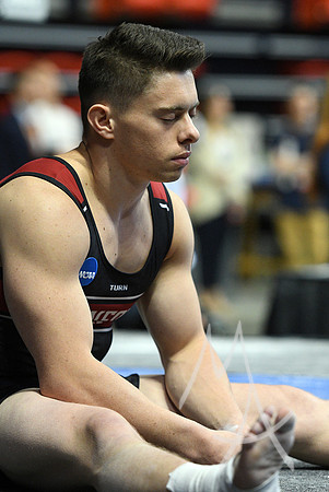NCAA GYMNASTICS: APR 20 Men's Championship