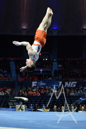 NCAA GYMNASTICS: APR 20 Men's Championship