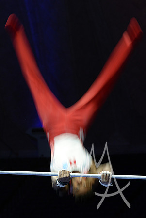 NCAA GYMNASTICS: APR 20 Men's Championship