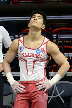 NCAA GYMNASTICS: APR 20 Men's Championship