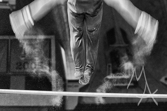 NCAA GYMNASTICS: APR 20 Men's Championship
