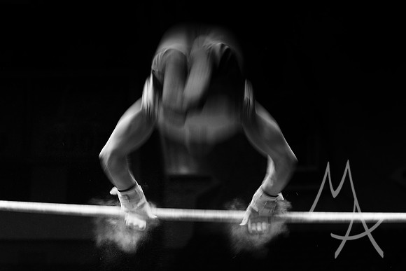 NCAA GYMNASTICS: APR 20 Men's Championship