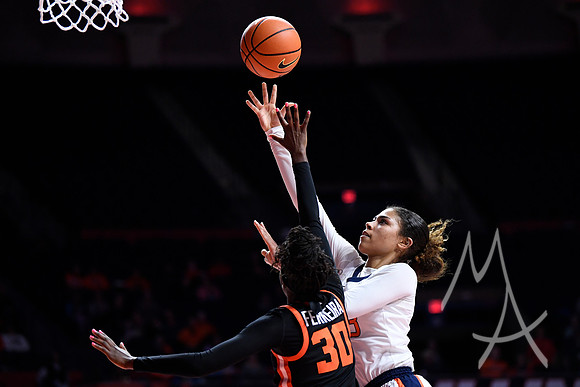 COLLEGE BASKETBALL: NOV 22 Women's - Oregon State at Illinois