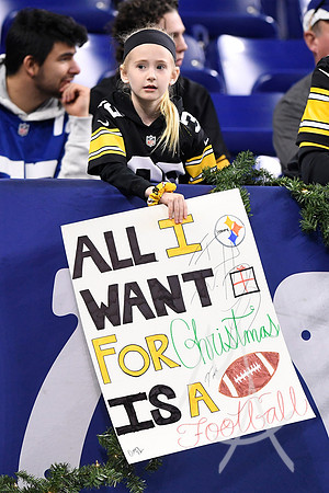 NFL: DEC 16 Steelers at Colts