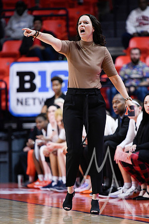 COLLEGE BASKETBALL: DEC 17 Women's - Missouri at Illinois
