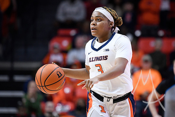 COLLEGE BASKETBALL: DEC 17 Women's - Missouri at Illinois
