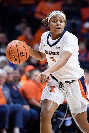 COLLEGE BASKETBALL: DEC 17 Women's - Missouri at Illinois